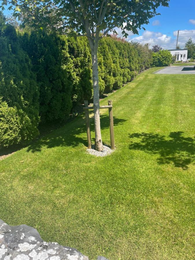 Ferienwohnung Garden Chalet Oranmore Galway Exterior foto